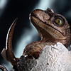 Jurassic Park: Velociraptor Egg Hatching