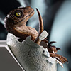 Jurassic Park: Velociraptor Egg Hatching