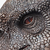 Indominus rex – 1/12 Scale Maquette