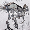 Indominus Rex Skeleton Bronze 1/24 Scale
