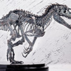 Indominus Rex Skeleton Bronze 1/24 Scale