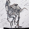Indominus Rex Skeleton Bronze 1/24 Scale