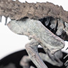 Indominus Rex Skeleton Bronze 1/24 Scale