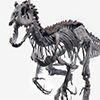 Indominus Rex Skeleton Bronze 1/24 Scale