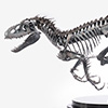 Indominus Rex Skeleton Bronze 1/24 Scale