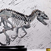 Indominus Rex Skeleton Bronze 1/24 Scale