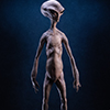 Reptilian Grey Maquette