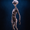 Reptilian Grey Maquette