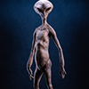 Reptilian Grey Maquette