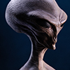 Reptilian Grey Maquette