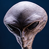Reptilian Grey Maquette