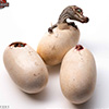 JP3 Hatching Spinosaurus