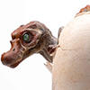 JP3 Hatching Spinosaurus