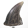 Jurassic Park T-Rex Foot Claw Reproduction