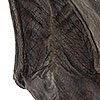 Jurassic Park T-Rex Foot Claw Reproduction