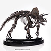 Triceratops Fossil Skeleton – 1/24 Scale Bronze