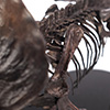 Triceratops Fossil Skeleton – 1/24 Scale Bronze