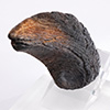 Velociraptor Toenail Prop Reproduction – Type A