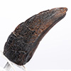 Velociraptor Toenail Prop Reproduction – Type A